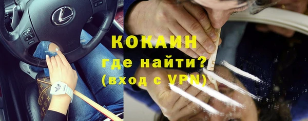 гашик Ладушкин