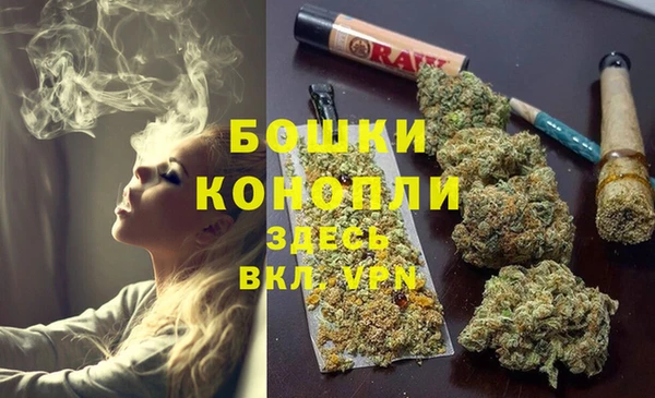гашик Ладушкин