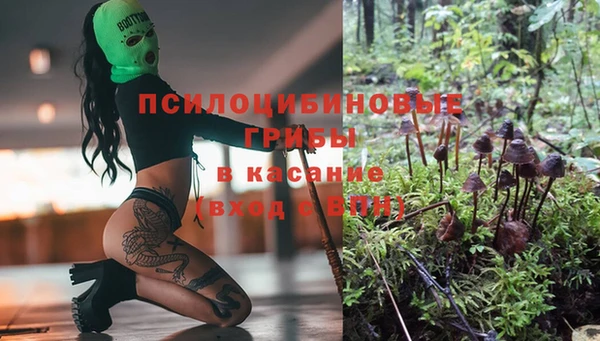 гашик Ладушкин