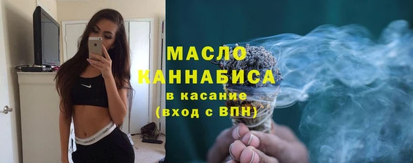 гашик Ладушкин