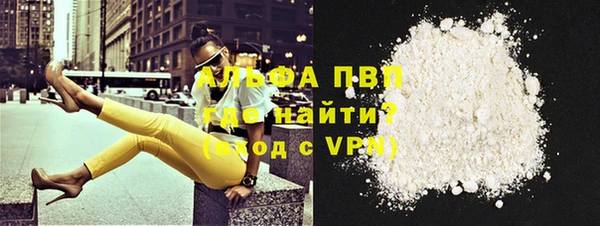гашик Ладушкин