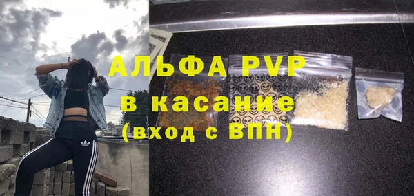 гашик Ладушкин