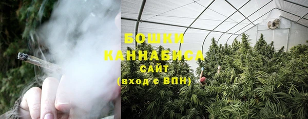 гашик Ладушкин