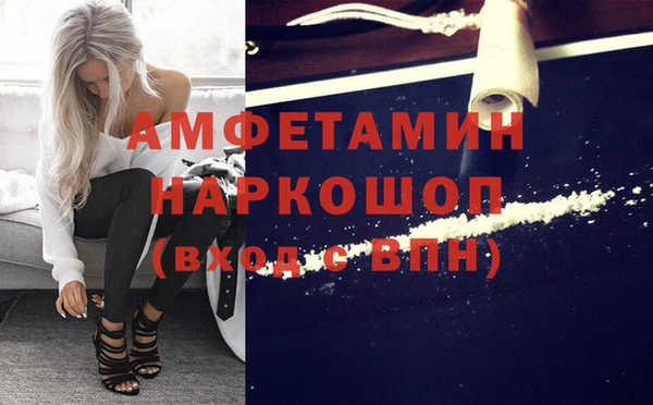 гашик Ладушкин