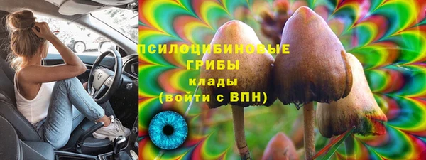 гашик Ладушкин