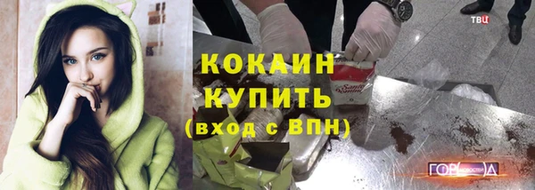 гашик Ладушкин