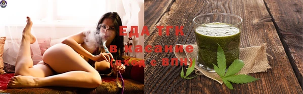 гашик Ладушкин