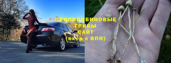 гашик Ладушкин